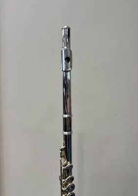 Carlton - CFL100 Student Flute 2