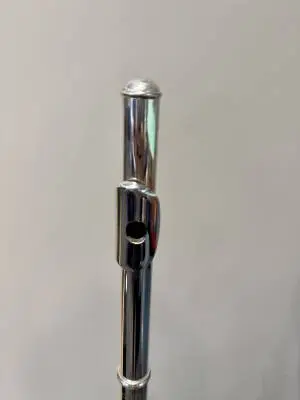 Carlton - CFL100 Student Flute 2