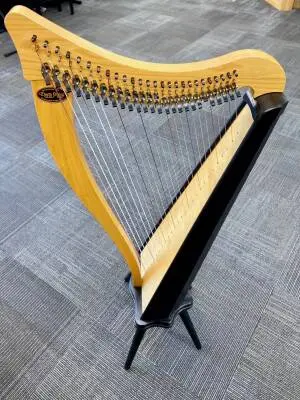 Store Special Product - Dusty Strings - RAV26 FULL OF