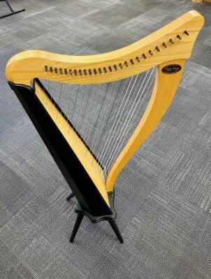 Store Special Product - Dusty Strings - RAV26 FULL OF