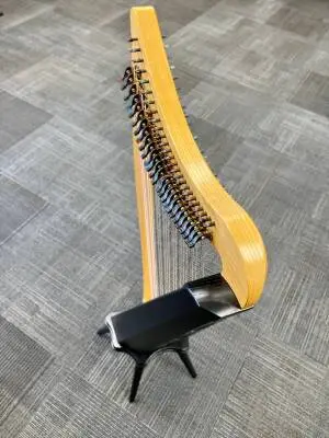 Store Special Product - Dusty Strings - RAV26 FULL OF