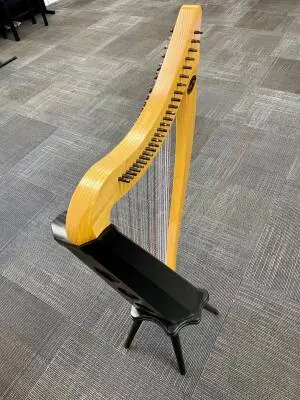 Store Special Product - Dusty Strings - RAV26 FULL OF