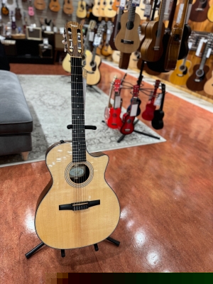 Taylor Guitars - 314CE-N
