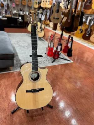 Taylor Guitars - 314CE-N