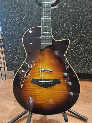 Taylor Guitars - T5Z PRO SB