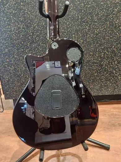 Taylor Guitars - T5Z PRO SB 2