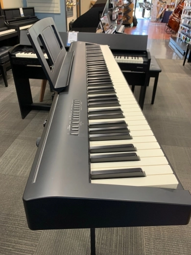 Roland - FP-30X-BK 2