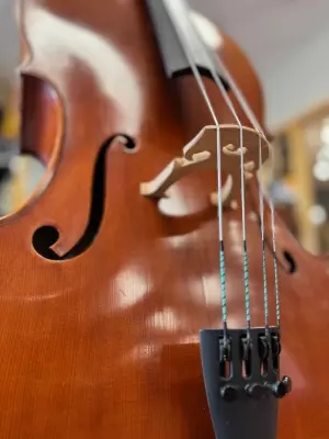 Cello 5