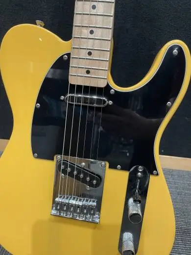Squier - 037-8203-550 2