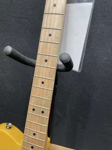 Squier - 037-8203-550 2