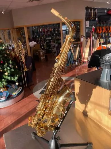 Professional Alto Sax