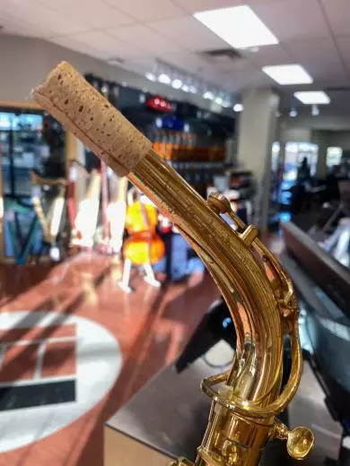 Professional Alto Sax 2