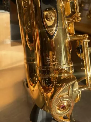 Professional Alto Sax 2