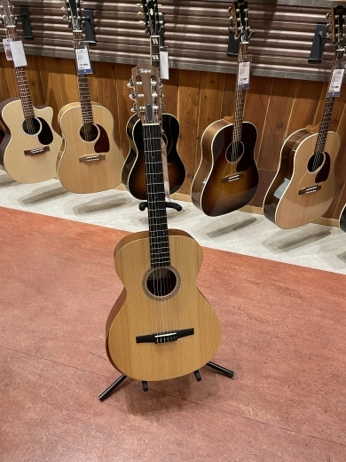 Taylor Guitars - Academy 12-N V2