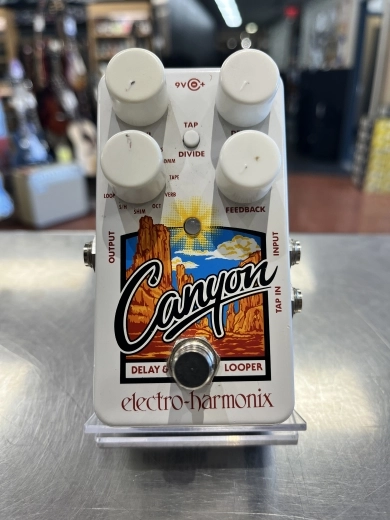 Store Special Product - Electro-Harmonix - CANYON