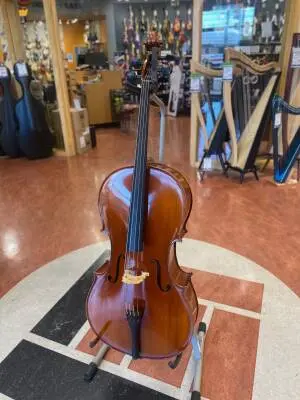 Eastman Strings - VC100LM 4/4 OF