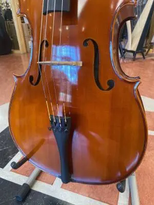 Eastman Strings - VC100LM 4/4 OF 2