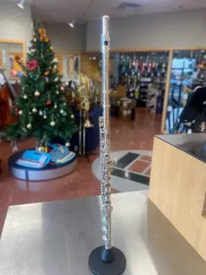 Carlton Flute - CFL200