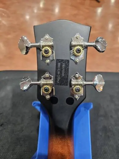 Denver - DUKE-BANJO 2