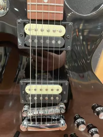 Epiphone - ELPSTEBNH 2