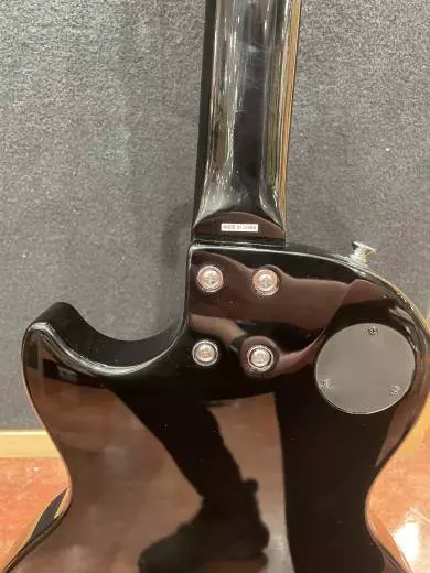 Epiphone - ELPSTEBNH 2