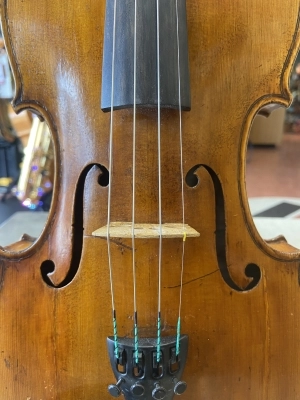 VIOLIN 3