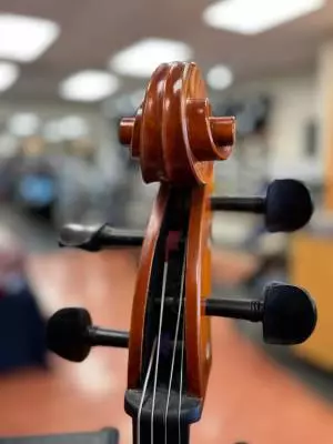 Eastman Strings - VC200MST 2