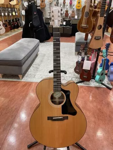 Gibson - ACG20ANNH