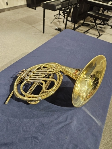 Eastman EFH310 Single French Horn