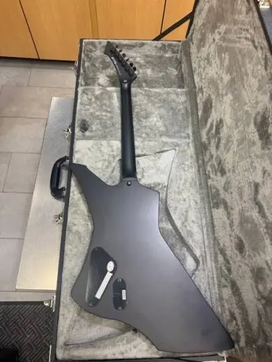 ESP Guitars - LSNAKEBYTEBLKS 2