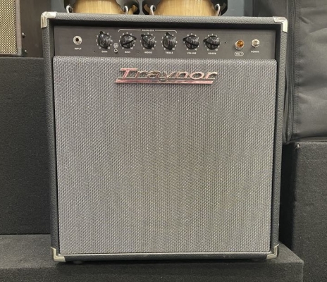 Store Special Product - Traynor - YGL1