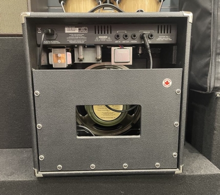 Store Special Product - Traynor - YGL1