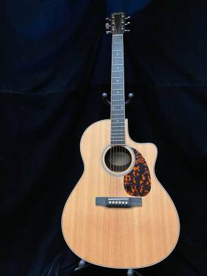 LV-03RE Recording Series Spruce/Rosewood Acoustic Guitar w/Cutaway & Electronics 3
