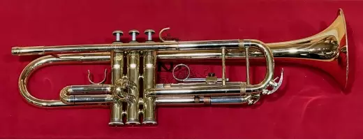 CARLTON STUDENT TRUMPET 2