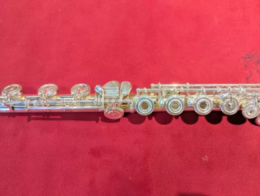 Amadeus Flutes - AF780-BO 2