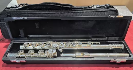 Amadeus Flutes - AF780-BO 2