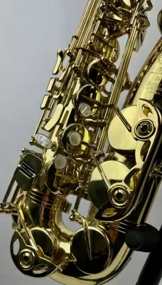 SELMER Paris Series II Alto Sax 2