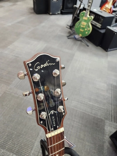 Godin Guitars - G50406 2