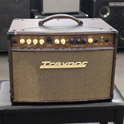 Traynor - 2-Channel Compact Stereo Acoustic Guitar Amp - 65 Watts