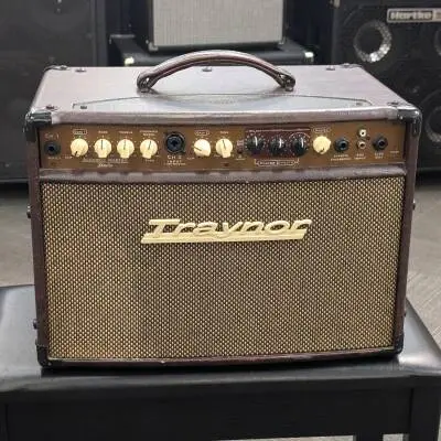 Traynor - 2-Channel Compact Stereo Acoustic Guitar Amp - 65 Watts