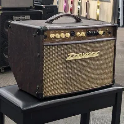 Traynor - 2-Channel Compact Stereo Acoustic Guitar Amp - 65 Watts 2