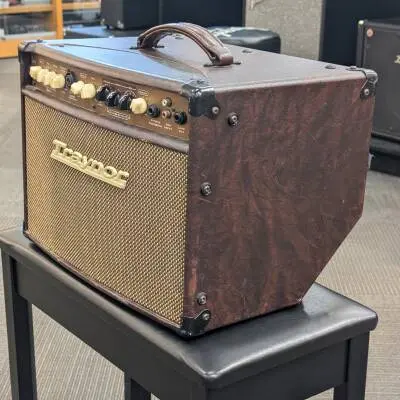 Traynor - 2-Channel Compact Stereo Acoustic Guitar Amp - 65 Watts 2