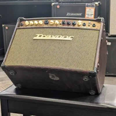 Traynor - 2-Channel Compact Stereo Acoustic Guitar Amp - 65 Watts 2