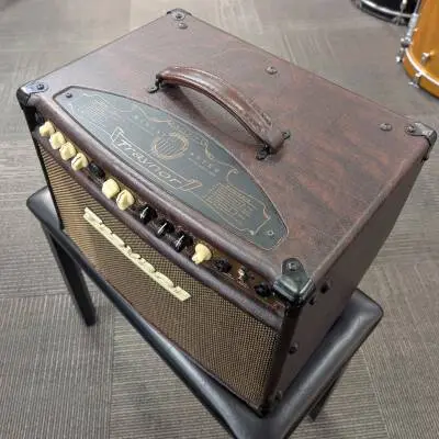 Traynor - 2-Channel Compact Stereo Acoustic Guitar Amp - 65 Watts 2