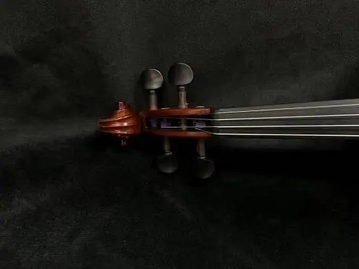 Antonio Stradivari 2