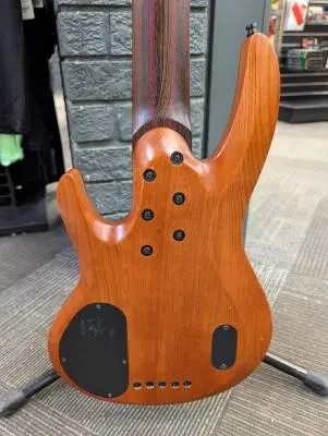 ESP Guitars - LTD B-1005 5-String Bass - Natural Satin Bocote 2