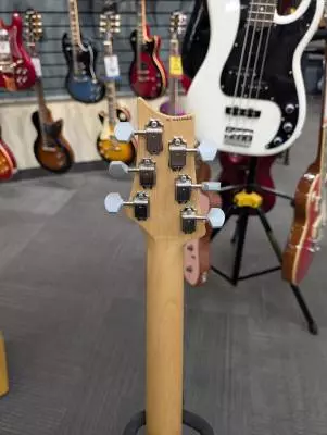 PRS Guitars - John Mayer Signature Silver Sky Electric with Rosewood Fretboard (Gigbag Included) - Midnight Rose 2