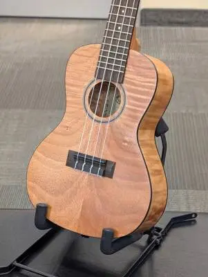 Kala - Exotic Mahogany Concert Ukulele