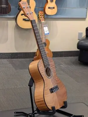Kala - Exotic Mahogany Concert Ukulele 2