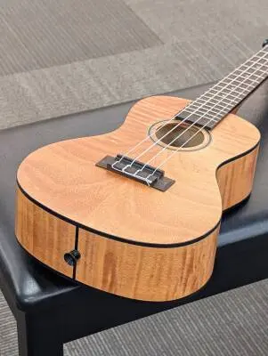 Kala - Exotic Mahogany Concert Ukulele 2